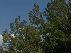 -名花谷生态庄园