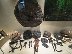 -广东中医药博物馆