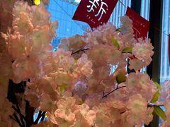 -極屋鮨牛 · 烧肉酒场(时代C馆店)