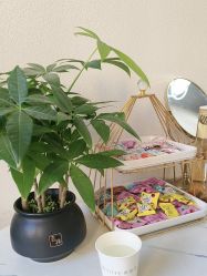 -禾壹净·素颜美问题肌肤修护中心