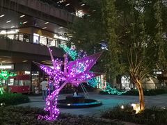 -泉鲤章鱼烧(互联宝地店)