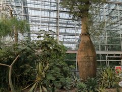 -南山植物园