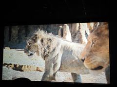 -CMC大光明影城(莲花店)