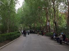 -长春公园(普阳街道)