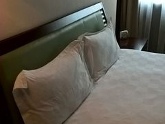 -上海浦东华美达大酒店