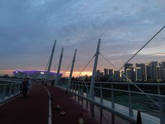 -白鹭湾湿地公园