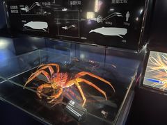 -同济大学四平路校区深海探索馆