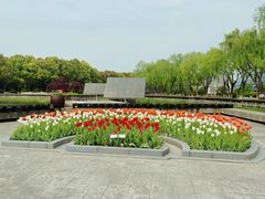 -上海鲜花港