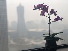 -粤秀餐厅(国货店)