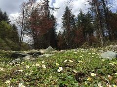 -硗碛藏寨·神木垒景区