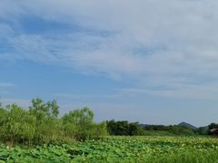 -良渚古城遗址公园