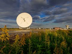 -上海佘山国家森林公园天马山园