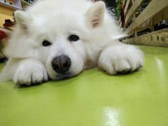 -RoMan罗马健身工作室(莘庄店)