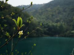 -会稽山峡洞漂流-上青古道