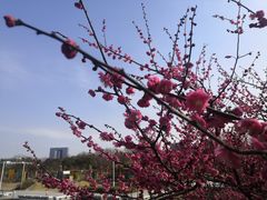 -白塘生态植物园