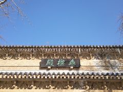 -灵谷景区