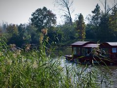 -溱湖国家湿地公园