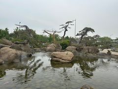 -罗红摄影艺术馆