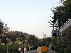 -月湖风景区