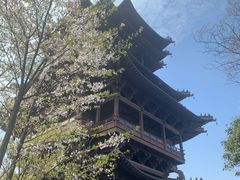 -杭州半山国家森林公园