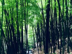 -藏龙百瀑风景区