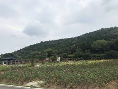 -龙寺生态园