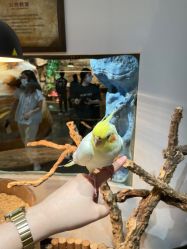 -Zoolung Zoolung动物主题公园(海信广场店)