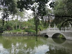 -星海公园(番禺区)