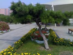 -丁香湖丁香小镇Citypark滑雪公园戏雪嘉年华