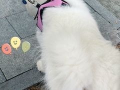 -麦当劳(杭州西湖银泰百货店)