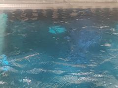 -青水瓦台汤泉(未央店)