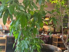 -慢丽江·云南野生菌土鸡锅(付家庄店)