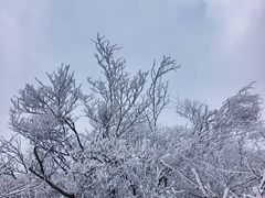 -四明山国家森林公园