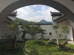 -宁波浙东大竹海景区