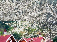 -广东天露山旅游度假区
