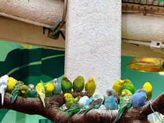 -正佳雨林生态植物园