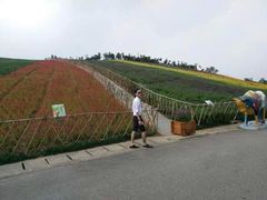 android_upload_pic-东部华侨城