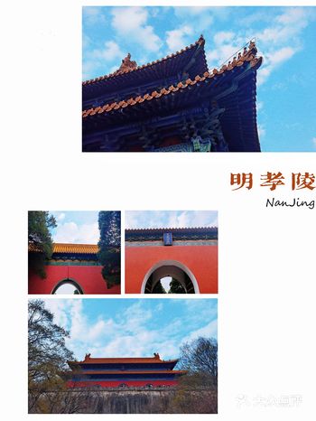 土著打卡南京明孝陵景区     ️神道  分为石象路