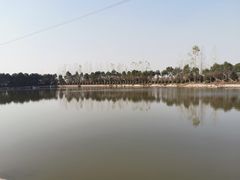 -武汉紫薇都市田园