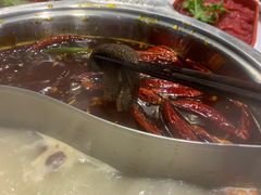 -老马路串串香火锅(北门桥店)
