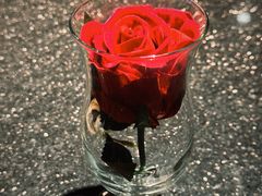 -华豫川酒家(金水路店)