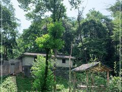 -中国大熊猫保护研究中心雅安碧峰峡基地