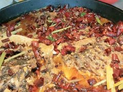 -老板恋上鱼(恒隆广场店)