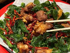 -雀舞云南菜(天津天河城购物中心店)