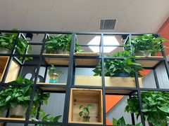 -华莱士炸鸡汉堡(欢乐谷店)