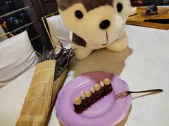 -Husky Go! 哈士奇体验馆·宠物咖啡厅狗咖