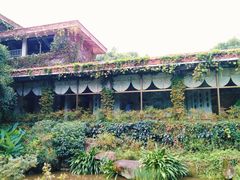 -中国茶叶博物馆(双峰馆区)