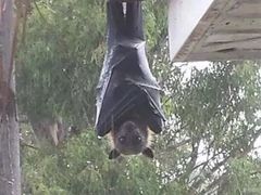 -喵的天空名猫咖啡馆·撸猫·猫舍·用品