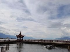 -洱海月湿地公园