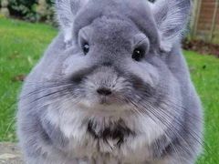 -1点点(河南中路店)